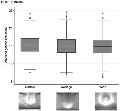 Non-syndromic Cleft Lip and Palate Polymorphisms Affect Normal Lip Morphology